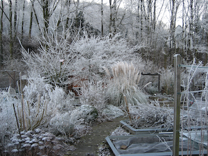 Unser Garten im Winter 2007/2008