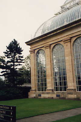 Palmenhaus Edinburgh Botanical Garden
