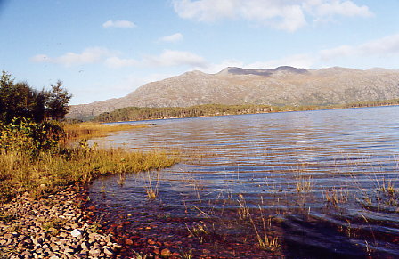 Loch Maree