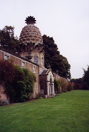 The Pineapple - Front