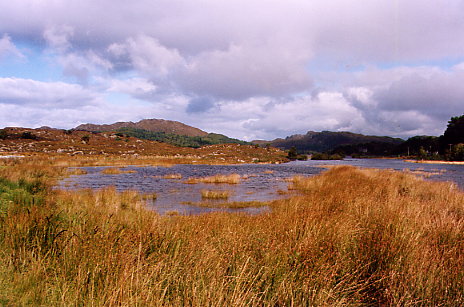 Shielfoot - Blick über Loch Moidart
