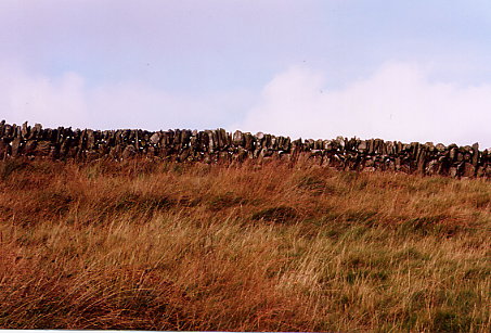 Sanaigmore - Trockensteinmauer