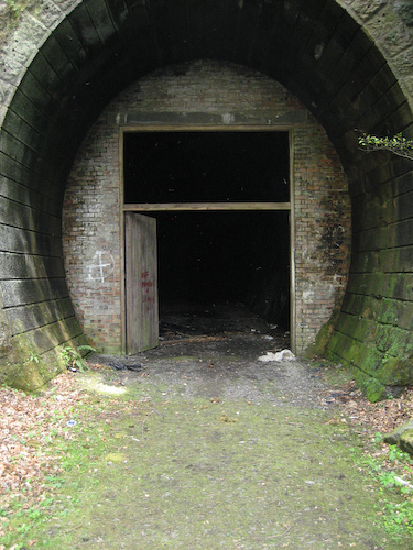 erinnert mich irgendwie an 5 Freunde Bücher - alter Eisenbahntunnel